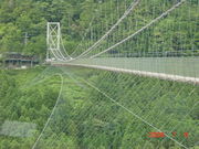 ͂̂񂳂̒J݂̒苴̓eʐ^1