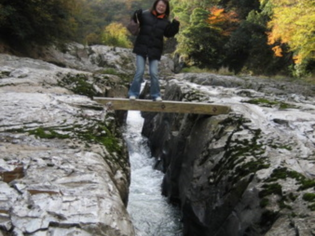 Miles����̒f���k�̓��e�ʐ^1