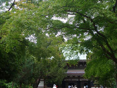 �~�o���̎ʐ^1