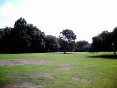 pecco����̂������܎s�@�s���̐X�ւ̓��e�ʐ^1