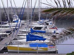 ł̓̉w ɓ}^Eւ̓eʐ^1