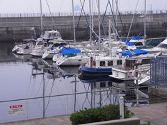 ł̓̉w ɓ}^Eւ̓eʐ^1