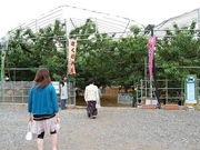 @fujisai̍όʎ̓eʐ^1