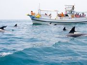 zakk̓VCJpZ^[̓eʐ^1