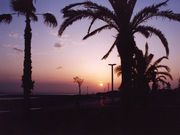 QY񂳂̂r[`Ė̓eʐ^1