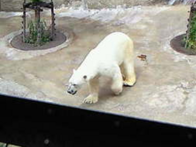 ���R������