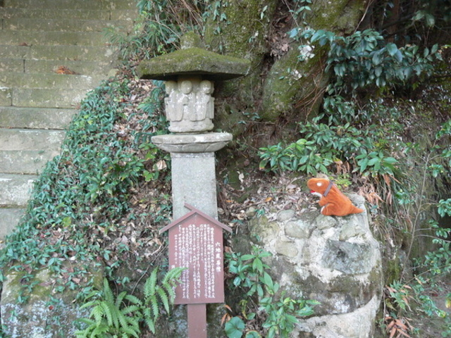 �Ă������p�p����̓V�S���̘Z�n���̓��e�ʐ^1