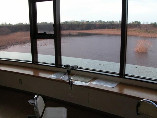 �C���o�[�h�p�[�N�^�x�R�V�`�ՊC�쒹��