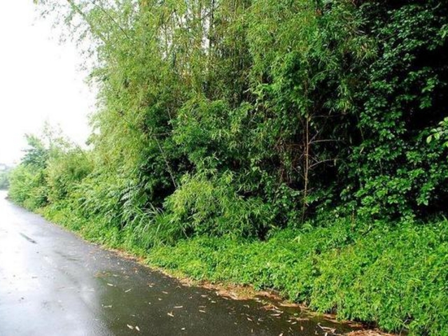 e˒q̑呠ِՂ̓eʐ^1