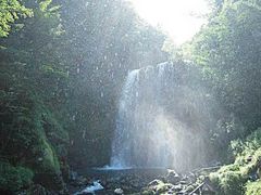 {ԉ@zeʔV̑PܘY̑ւ̓eʐ^1