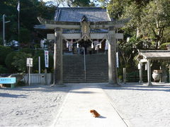 てえすけパパさんの高城神社（長崎県諫早市）の投稿写真1
