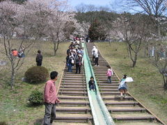 ryuji92jpさんの君ケ野ダム公園の投稿写真1