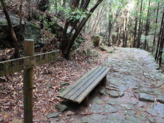 熊野古道さんの熊野古道　松本峠～花の窟の投稿写真1