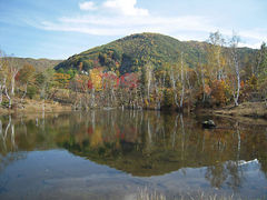 {ԉ@zeʔV̈mnւ̓eʐ^1