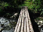 {ԉ@zeʔV̔̍gt̓eʐ^1