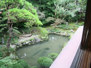 �f�t�m�a�n������̕�P�@�̓��e�ʐ^1