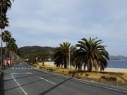 �X�G�X�G����̕ГY���l�C�l�����̓��e�ʐ^1