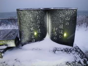 ftman̓yEؘQڂ̓eʐ^1