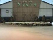 ܂肠̂˃JtF̓̓eʐ^1