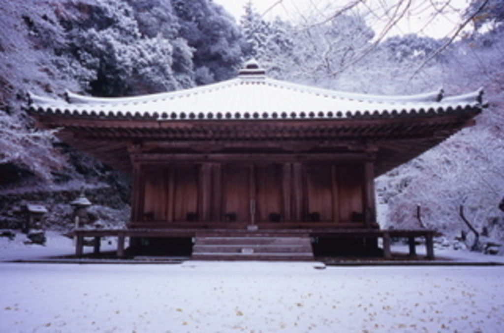 大分の神社 神宮 寺院ランキングtop10 じゃらんnet