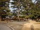 ひっちぃさんの城山公園（長野県長野市）の投稿写真1
