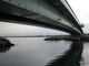 kazumiringoさんの奈呉の浦大橋の投稿写真1