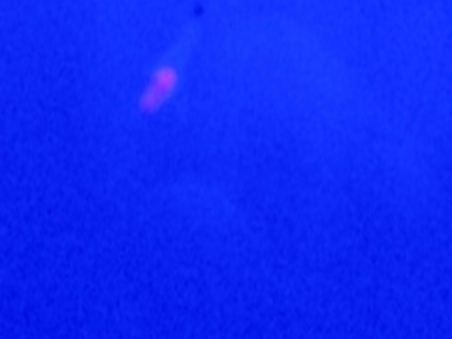 �I�z�[�c�N���X��