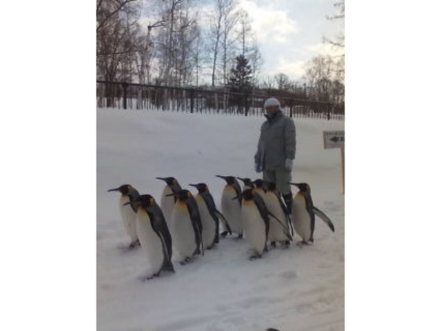 ���R������