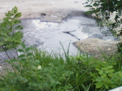 �{�b�P�i�D�ΎR�j�̎ʐ^1