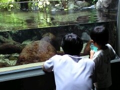 PQ̐EW ANAggӂւ̓eʐ^1