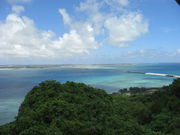 ���₳��̖q�R�W�]��̓��e�ʐ^1