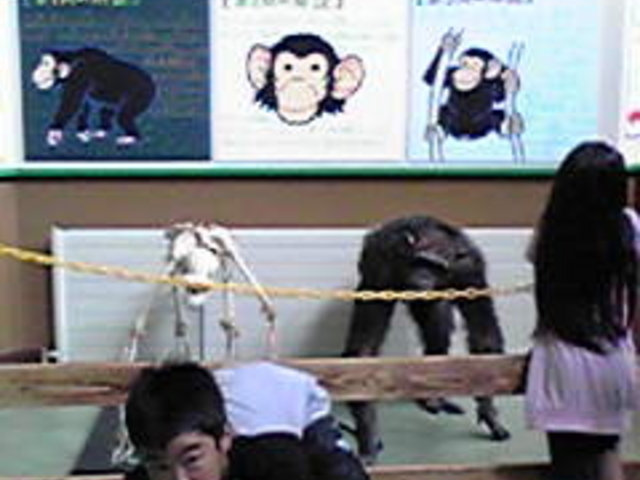 ���R������