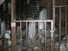 natsuko̖Xւ̓eʐ^1