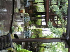 Ђ낳̃x[J[JtFEyj[Cւ̓eʐ^1