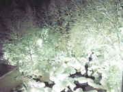 ܁[񂳂̌N񕜑̓eʐ^1