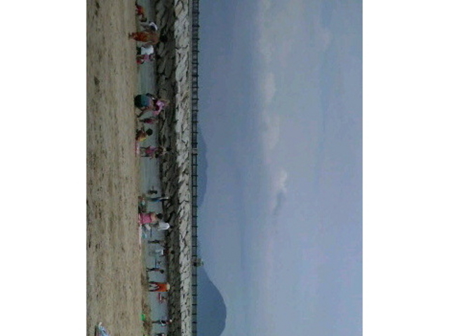 ����T���r�[�`