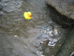 masâЂ̐Xւ̓eʐ^1