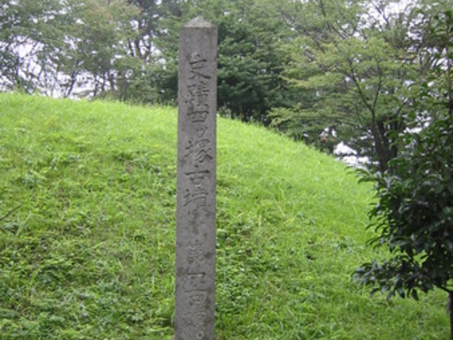 ������񂳂�̎l�c�ˌÕ��̓��e�ʐ^1