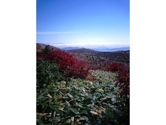 ���Ô����R