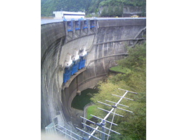 �V�P���_��