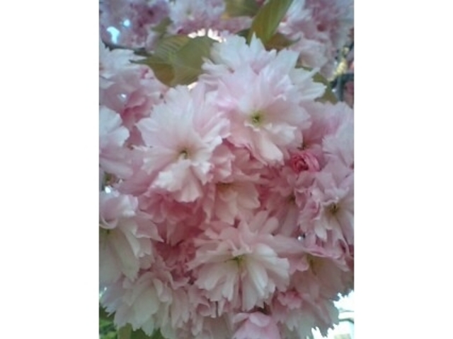 ���O�����̍�