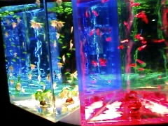 Ђ悳̘Z{؃qYւ̓eʐ^1