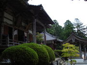 ƂȂ񂳂̓RԎR@񎛁iԎR@j̓eʐ^1