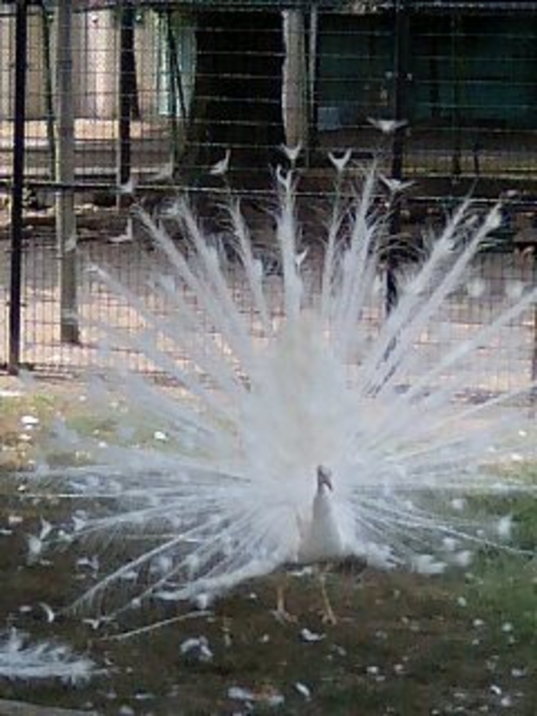 熊本の観光スポットランキングtop10 じゃらんnet