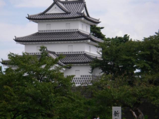 �V���c��