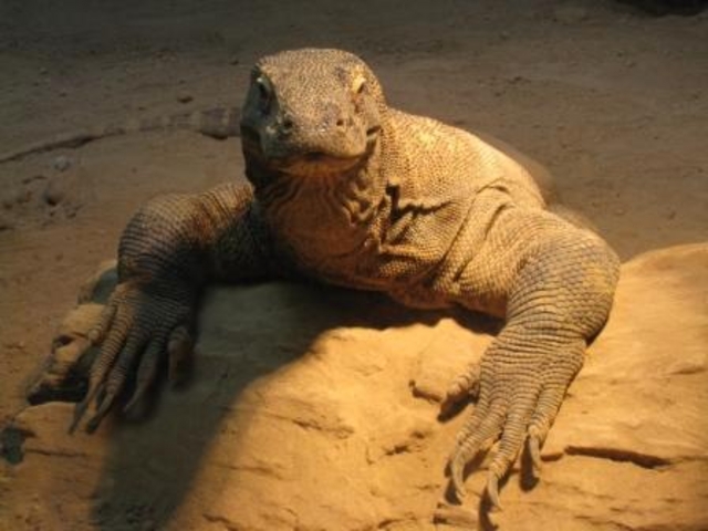 �~�R������