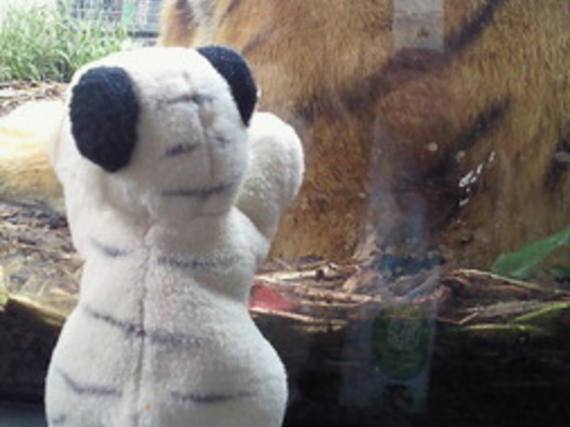 ���R������