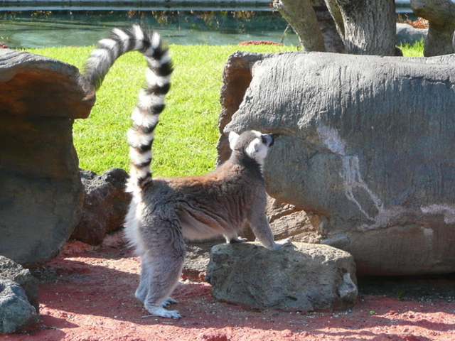 �F�{�s���A����