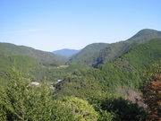 񂳂̌F̋@ÓPu̓eʐ^1