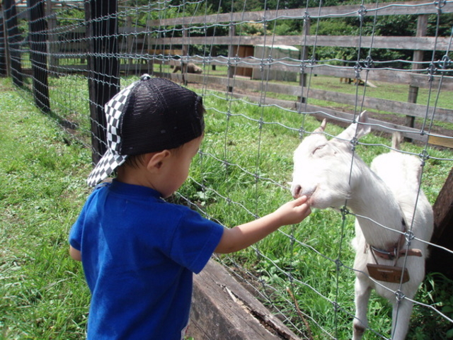 �x�m�~���N�����h